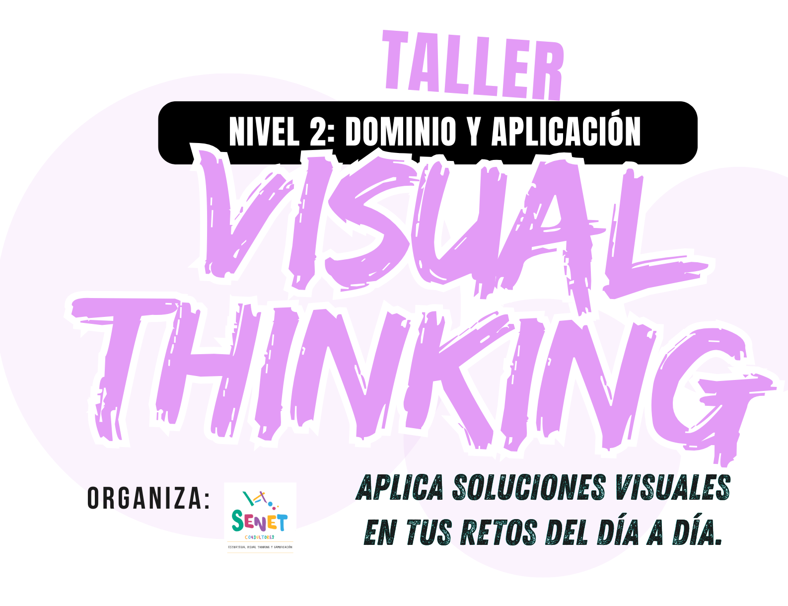 Senet Consultores Formación para profesionales y empresas